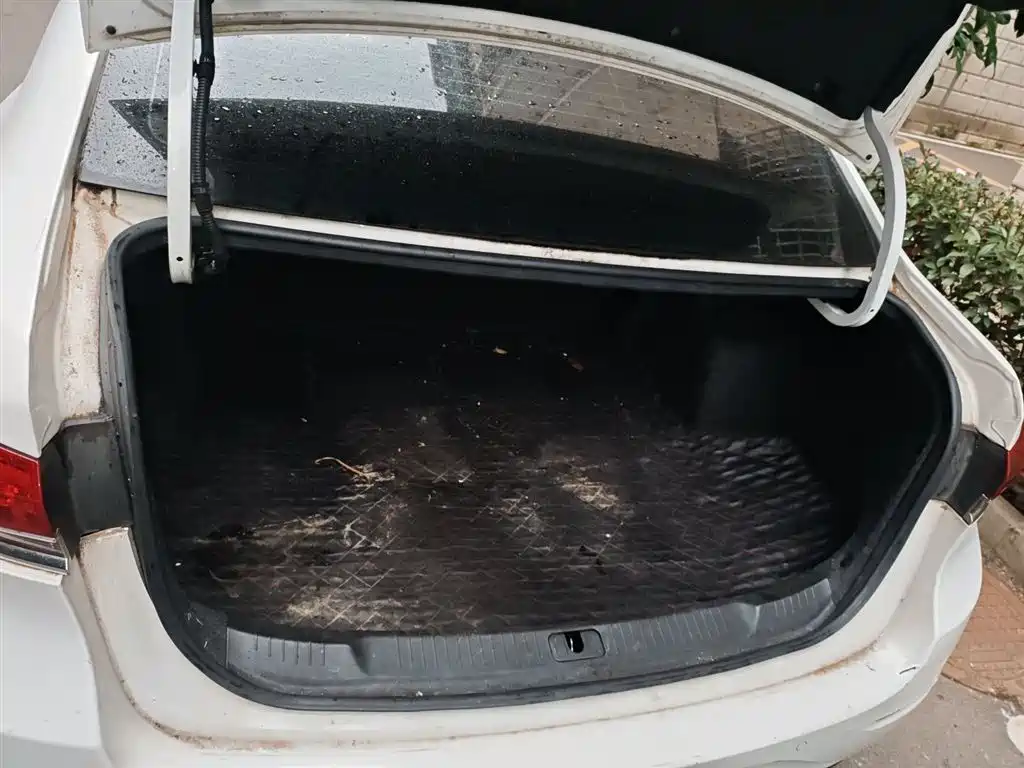 Buick Excelle 2021 Facelift Exemplar 1.5L Auto Elite фото 10