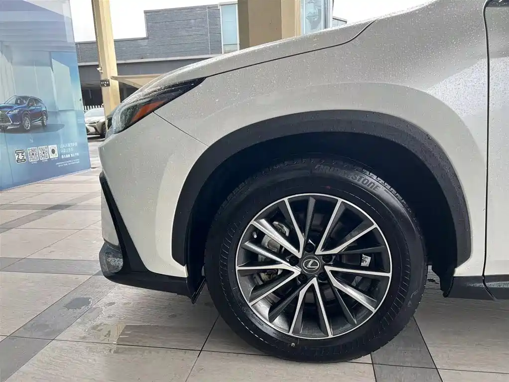 Lexus NX New Energy 2022 2022 400h+ Joy Edition