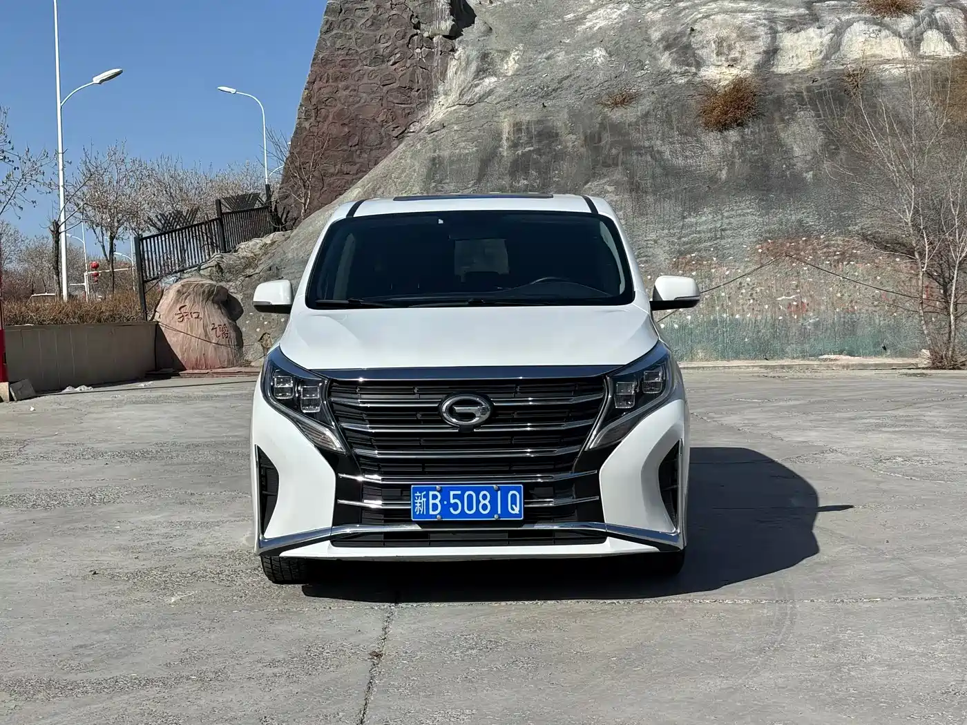 GAC Trumpchi Trumpchi M8 2021 Leading Show Series 390T Premium Edition фото 2