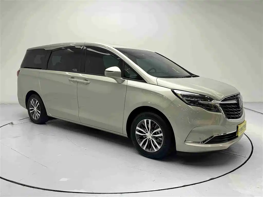 Buick GL8 2022 ES Landmark 653T Premium фото 3