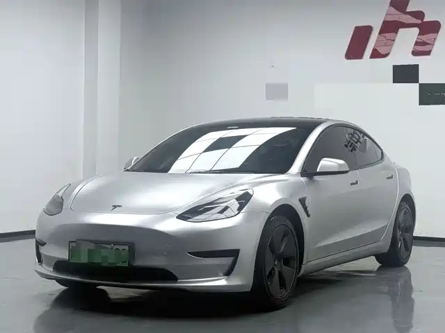 Tesla Model 3 Задний привод
