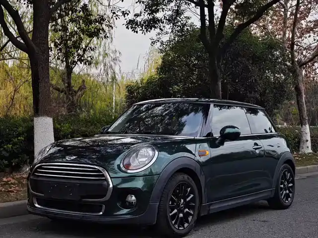 MINI 