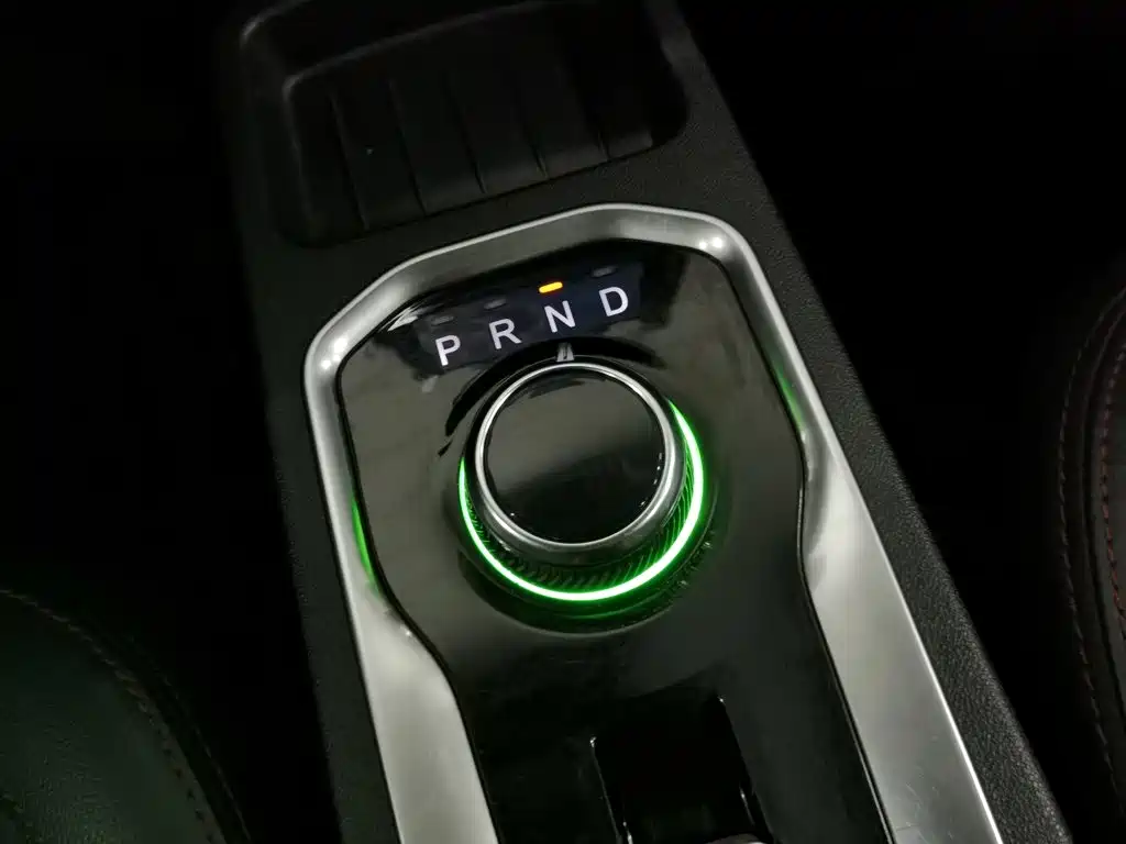 Dayun Yuehu 2022 2021 32.85kWh 2WD Elf Edition