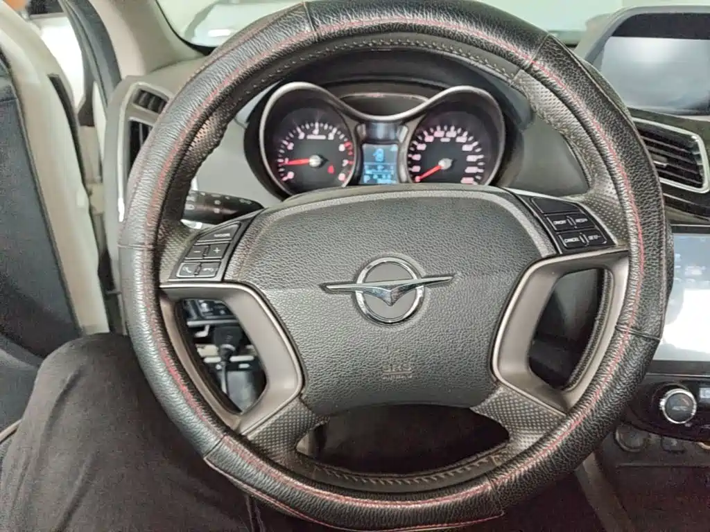 صورة 11 - Haima S5
