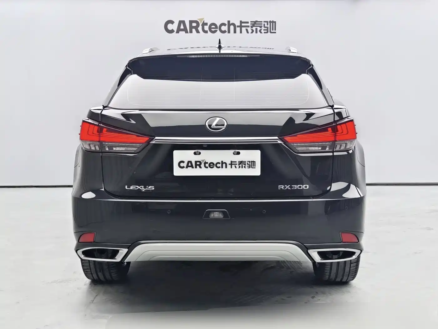Lexus RX 2020 Facelift 300 2WD Comfort Edition фото 5