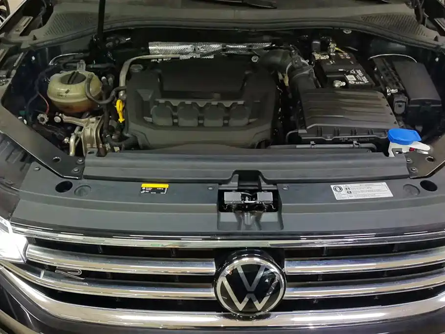 Volkswagen Tiguan L 2024 Outstanding 330TSI Auto 2WD R-Line Dragon Glory Edition фото 10