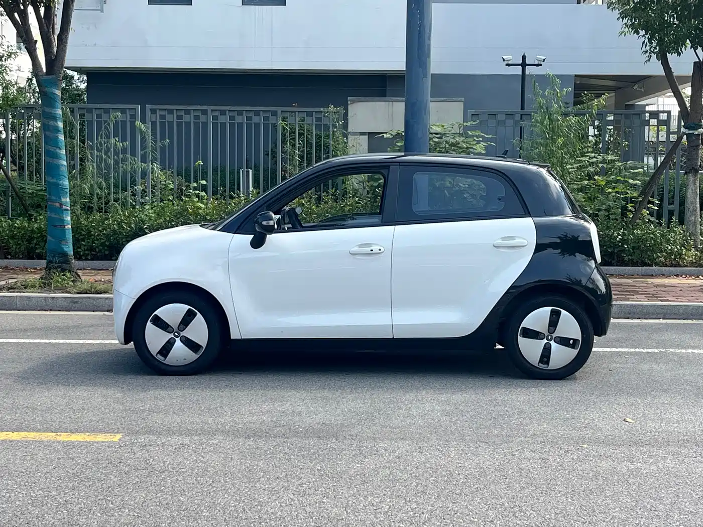 Ora Black Cat 2022 2022 301km Cute Pet Edition (LFP)
