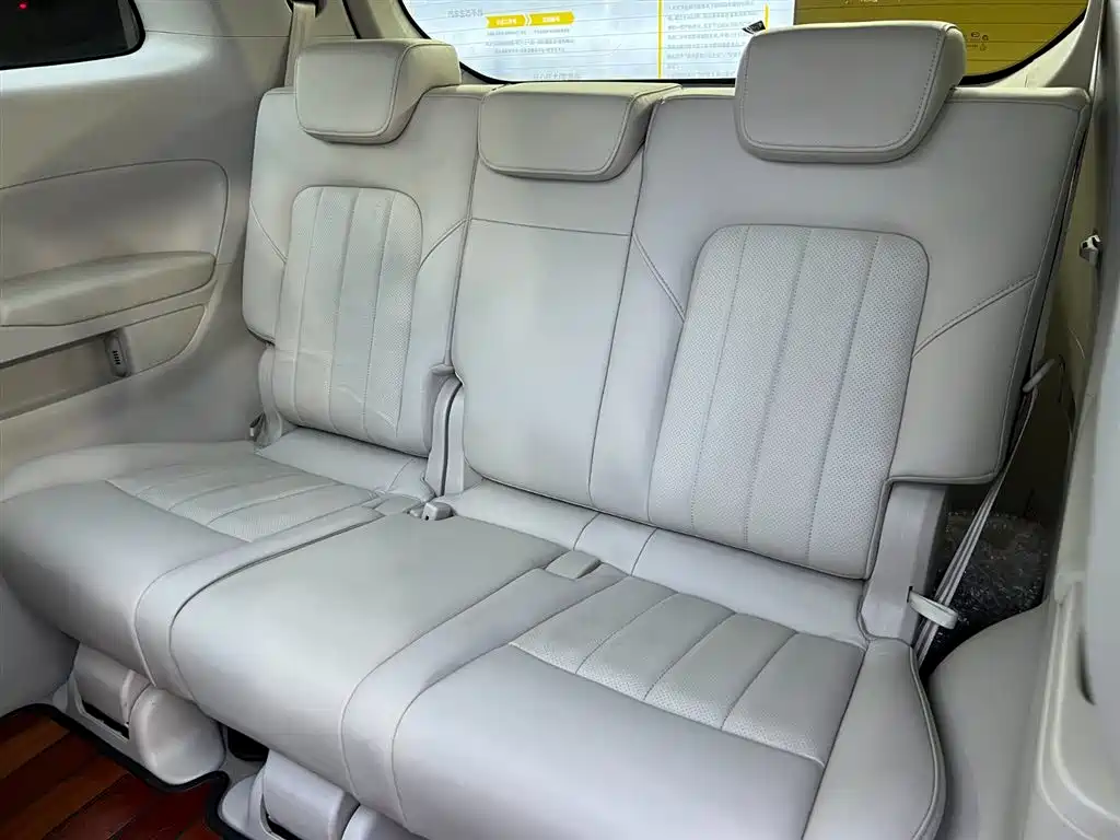 GAC Trumpchi Trumpchi M8 2018 320T Flagship Edition фото 11