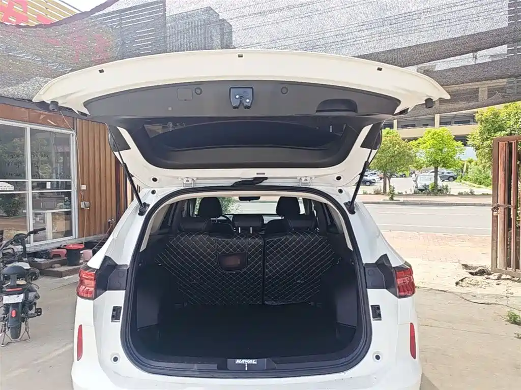 Haval H6 2022 3rd Gen 1.5T Auto 2WD Max фото 19