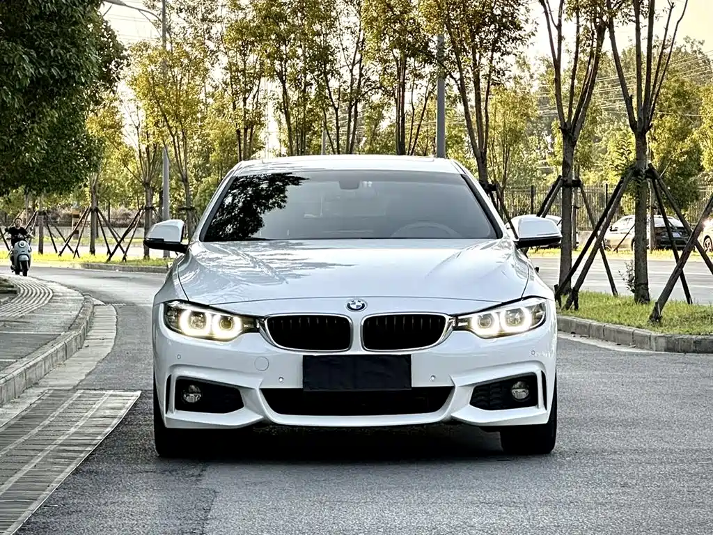 BMW 4 Series 2019 425i Gran Coupe M Sport Package фото 3