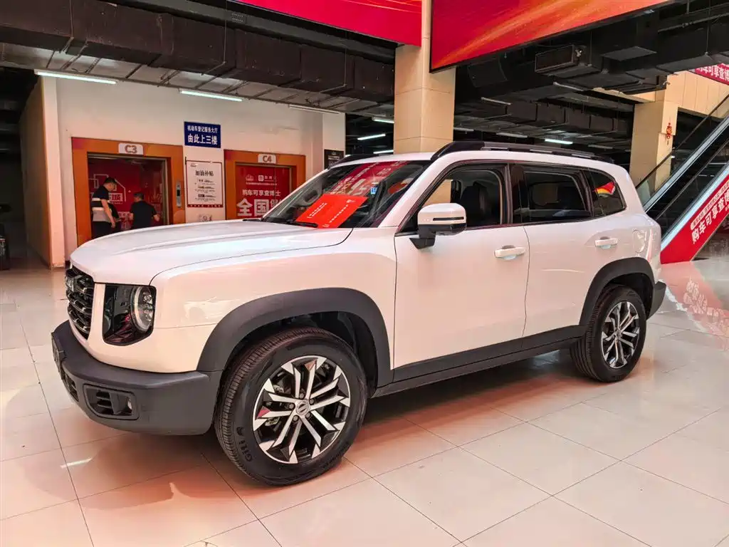 Haval Big Dog 2021 1.5T DCT 2WD Border Collie Edition фото 4