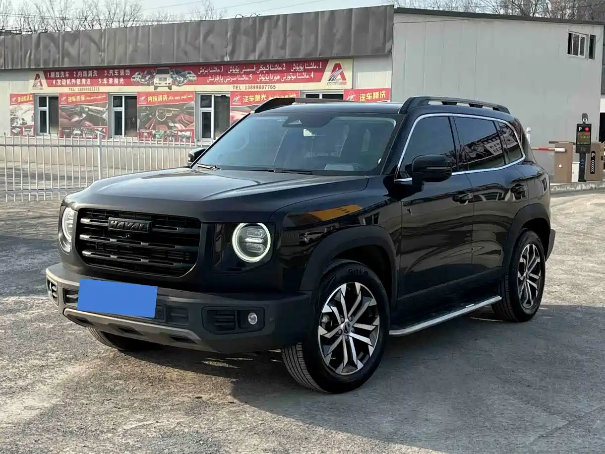 Haval Big Dog 2021 1.5T DCT 2WD Border Collie Edition
