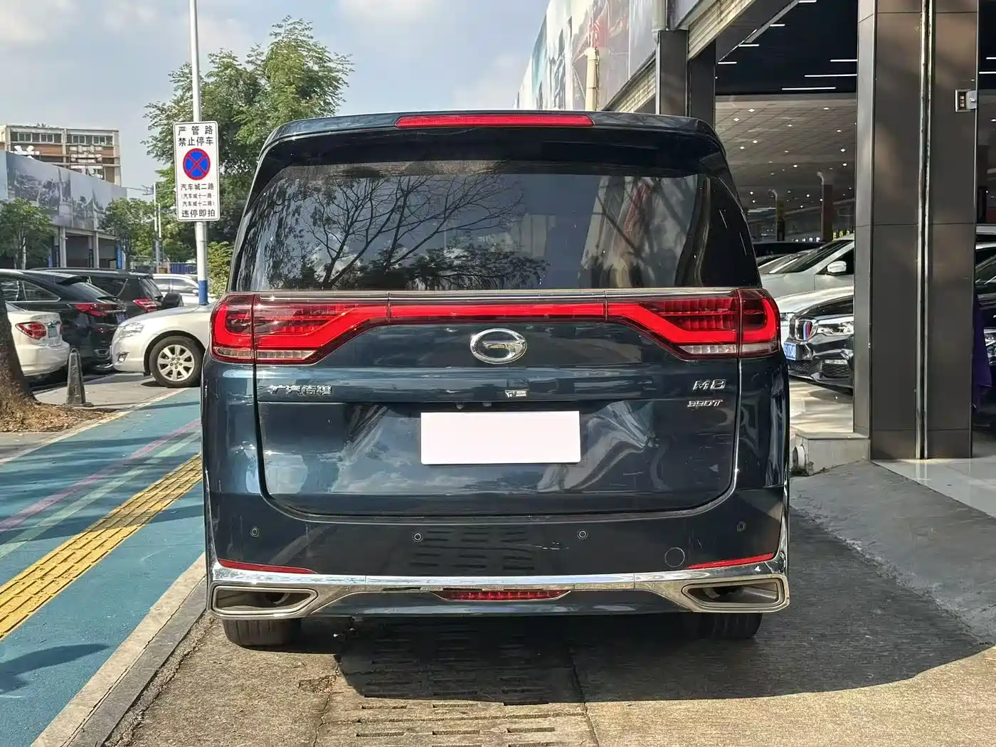 GAC Trumpchi Trumpchi M8 2023 Leading Series 390T Ultimate Edition фото 8