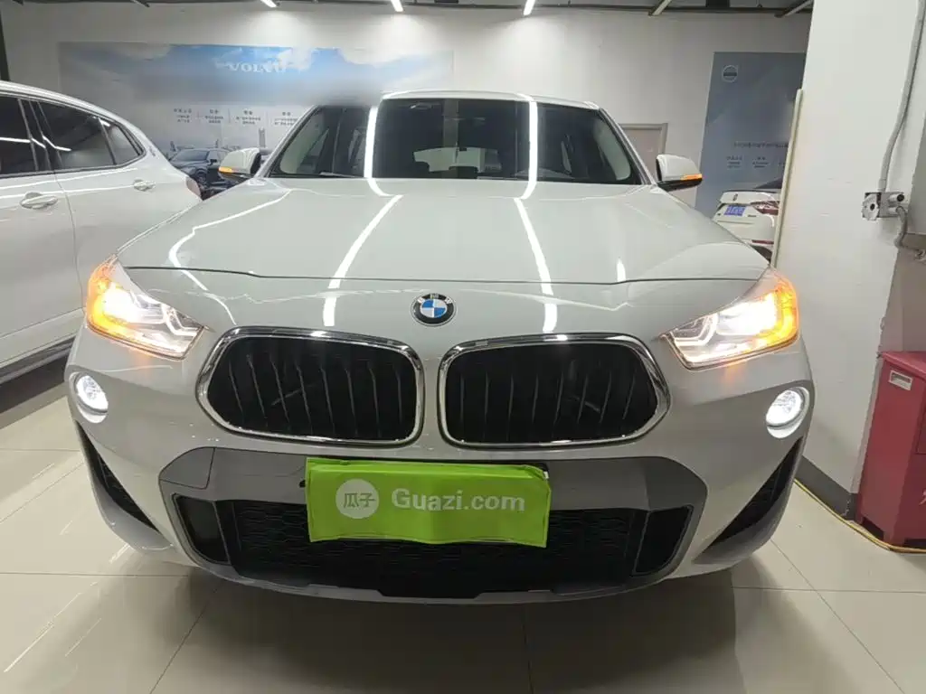 BMW X2 (Import) 2019 2019 sDrive20i M Off-Road Package China VI