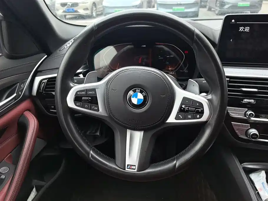 BMW 5 Series 2021 530Li Leading M Sport Package фото 15