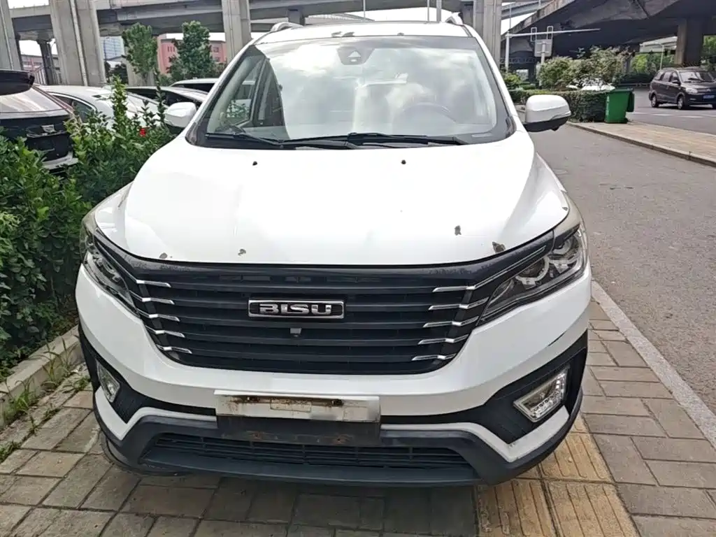 Bisu Auto Bisu T5 2017 2017 1.5T Manual Premium