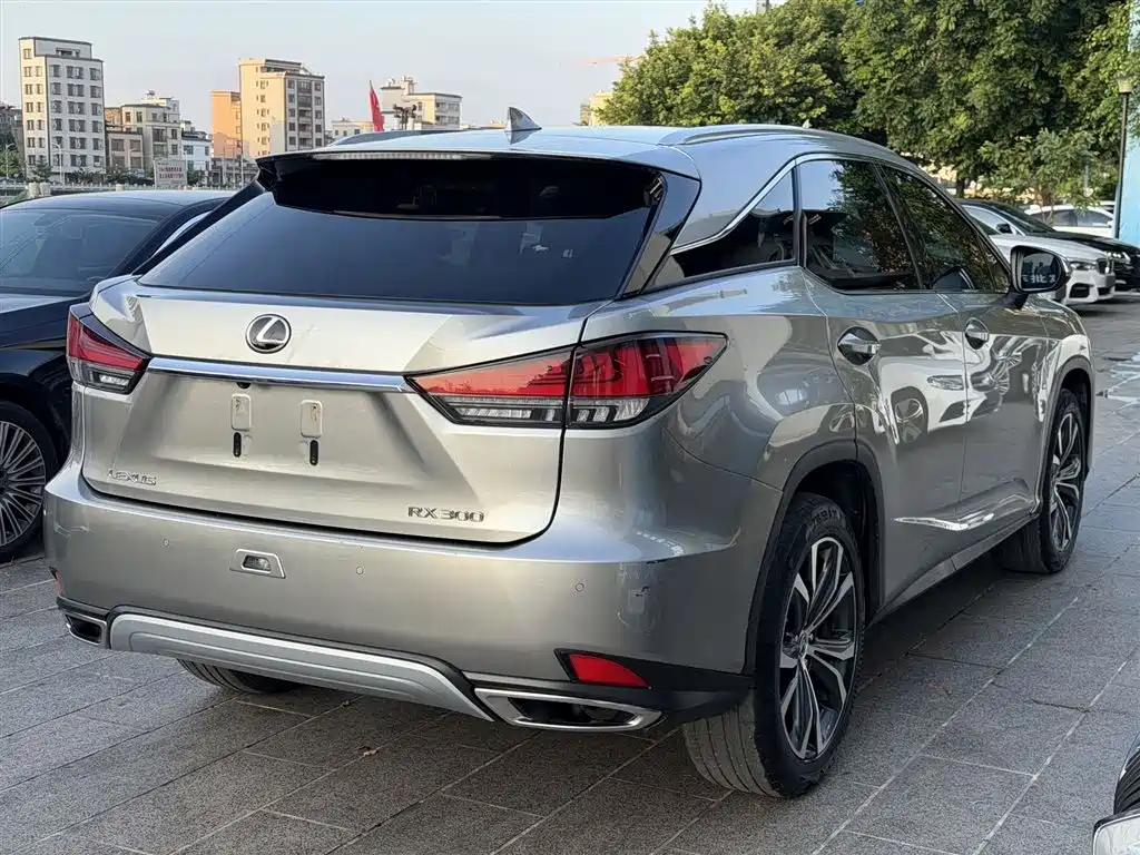 Lexus RX 2020 300 AWD Elegance Edition China V фото 4