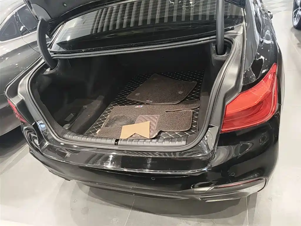 BMW 5 Series 2019 Facelift 525Li M Sport Package фото 19