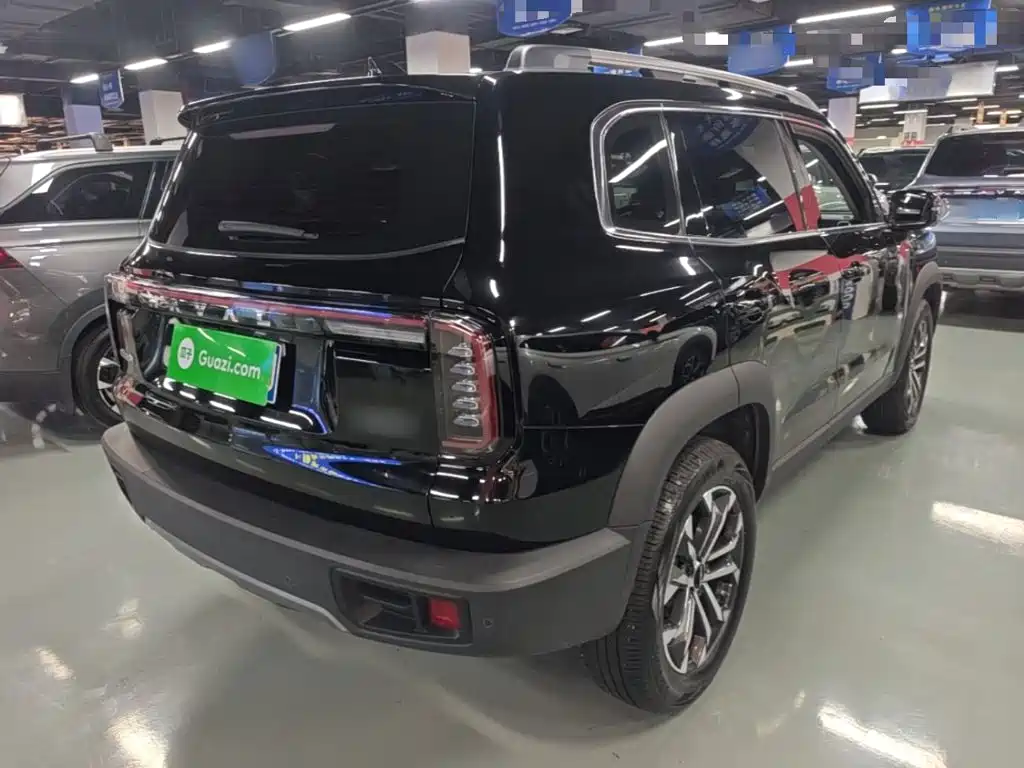 Haval Big Dog 2025 2024 1.5T DCT Border Collie Edition