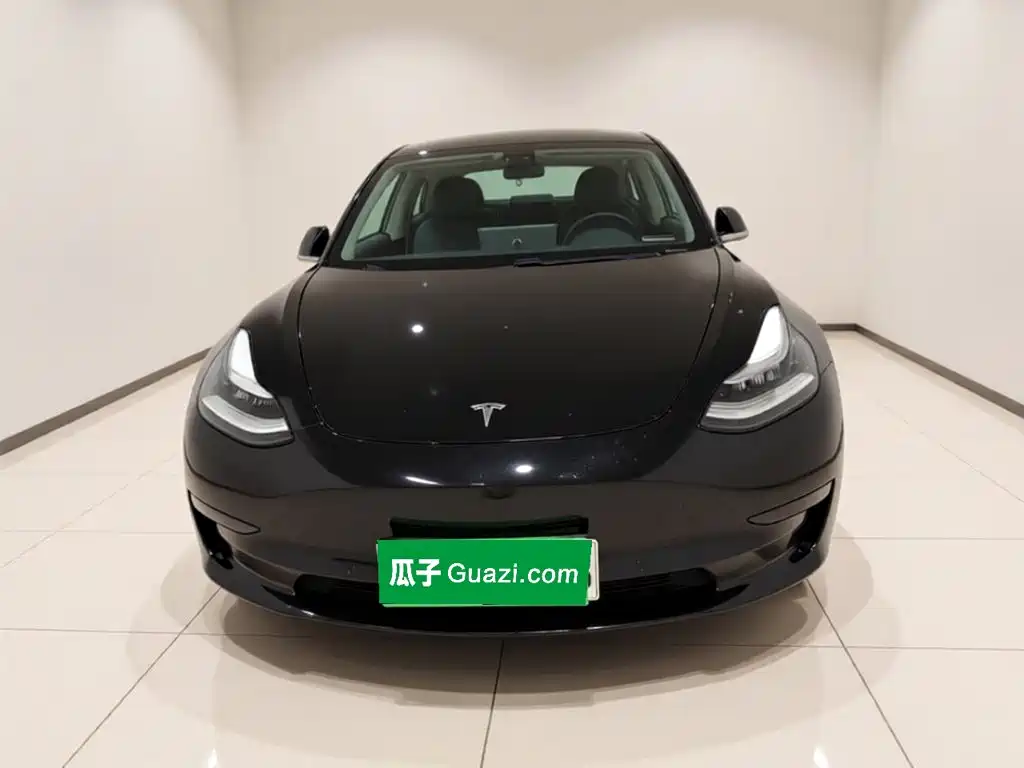 Tesla Model 3 2020 2020 Standard Range Rear-Wheel Drive Upgrade