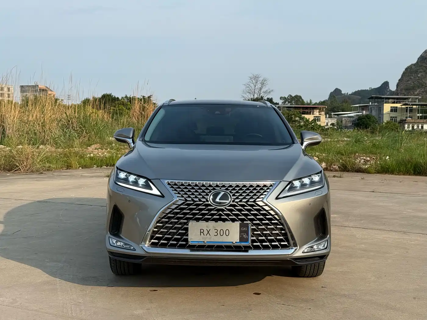 Lexus RX 2021 300 AWD Special Edition фото 2
