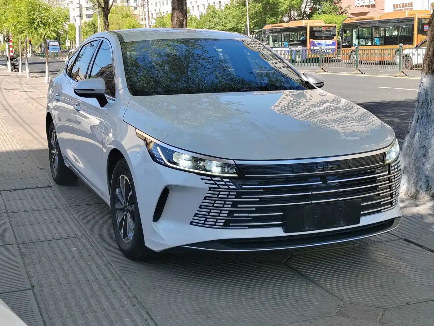 BYD Destroyer 05 2024 Glory Edition DM-i 55KM Luxury