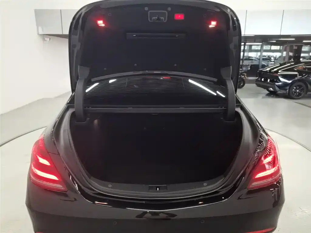 Mercedes-Benz S-Class 2018 S 320 L фото 19