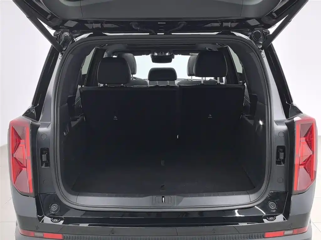 GAC Trumpchi Trumpchi GS8 2025 Pilot Series 2.0TGDI 2WD Luxury Edition 5-seater фото 16