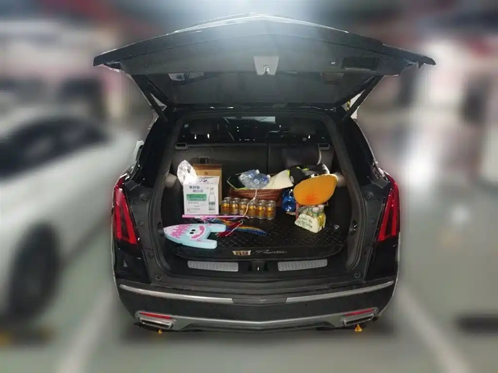 Cadillac XT5 2021 2.0T 2WD Luxury Edition фото 20