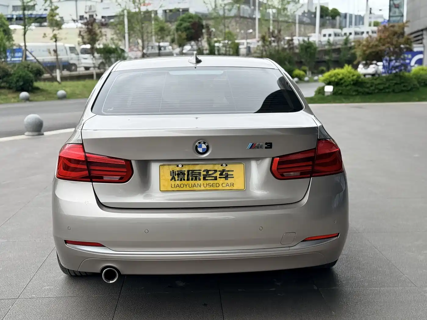 BMW 3 Series 2018 318Li фото 6