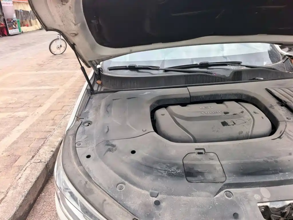 Baojun RC-6 2020 2019 1.5T CVT 24-hour Online Premium