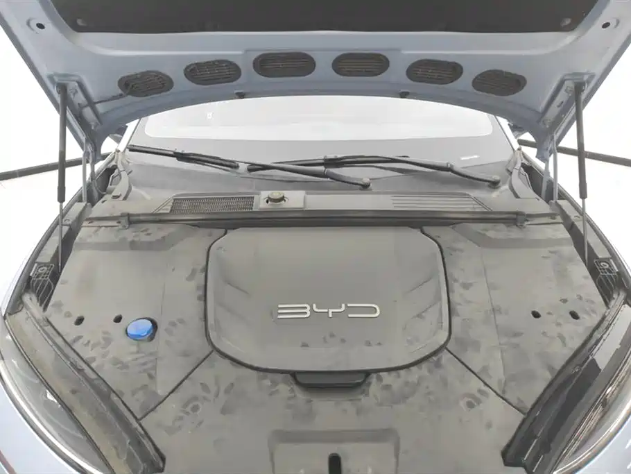 BYD Seal 2023 Champion Edition 550km Elite фото 10