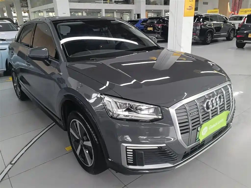 Audi Q2L e-tron 2019 Q2L e-tron Pure Electric Smart Enjoyment фото 22
