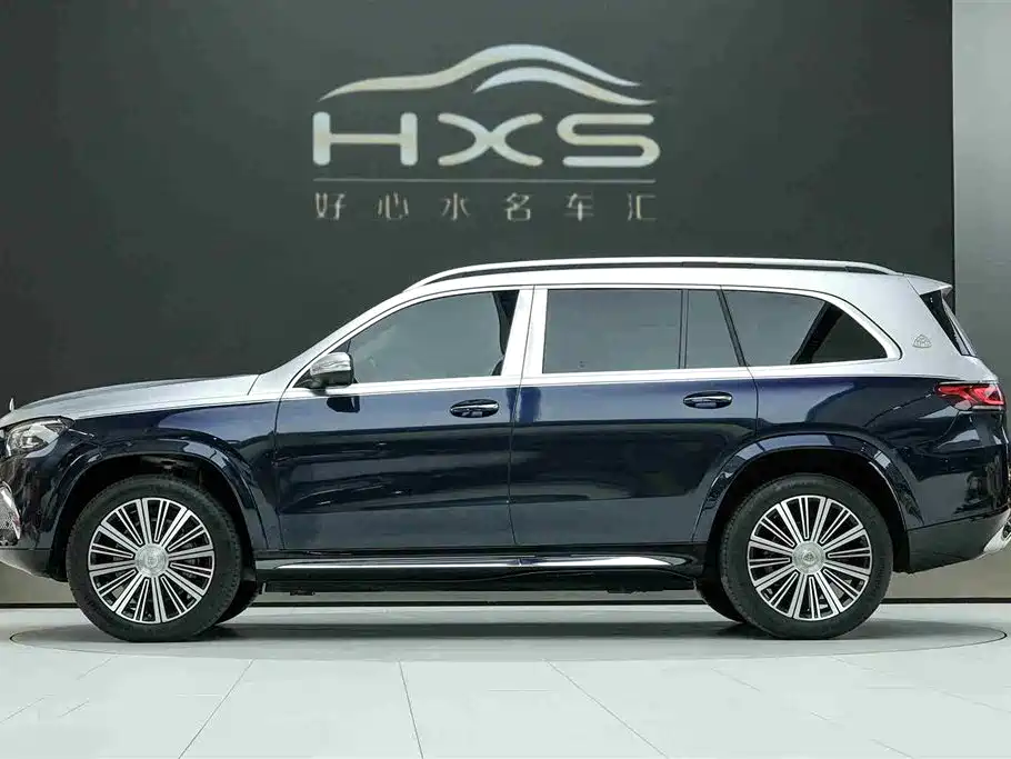 Mercedes-Benz Maybach GLS 2021 GLS 480 4MATIC фото 3