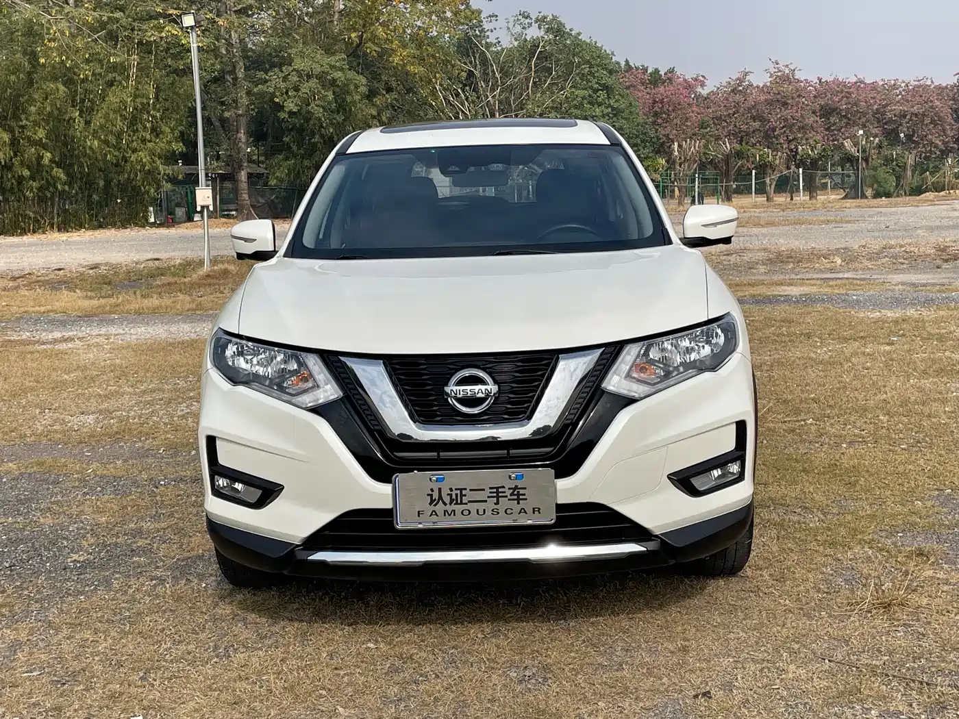 Nissan X-Trail, миниатюра 2