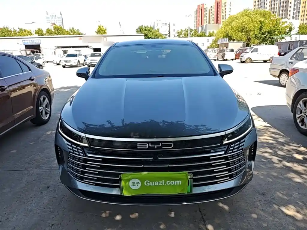 BYD Destroyer 05 2024 Glory Edition DM-i 55KM Luxury фото 3