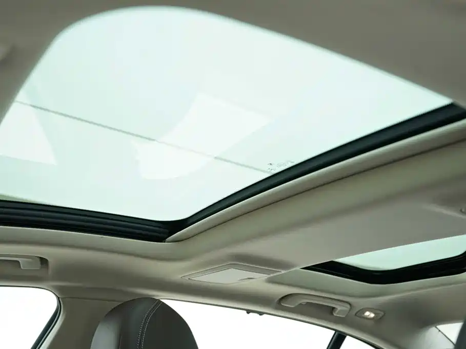 BMW 5 Series New Energy 2020 530Le Range Upgrade Luxury Package фото 12