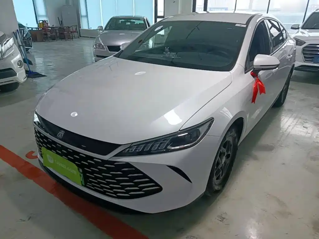 BYD Qin PLUS 2025 DM-i Smart Drive 55KM Leader