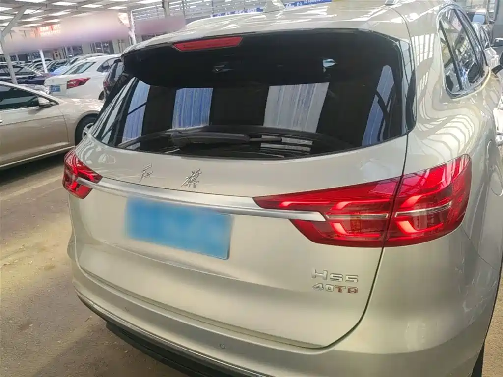 Hongqi HS5 2019 2.0T Smart Connect Enjoy Edition фото 6