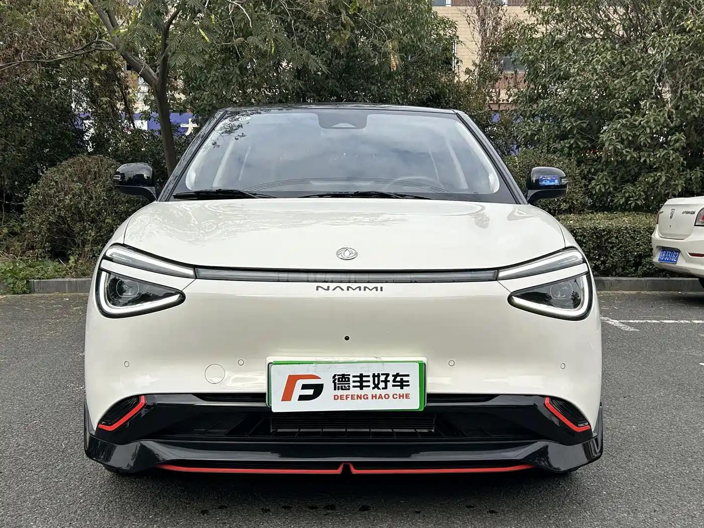 DONGFENG NANO 01
