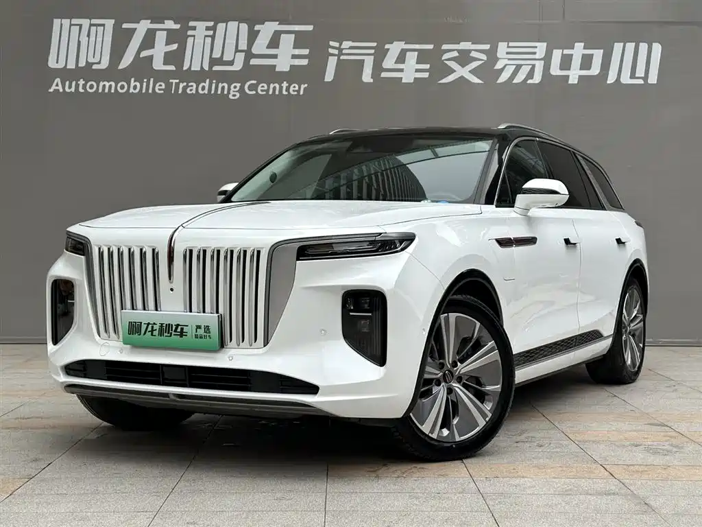 Hongqi HONGQI E HS9
