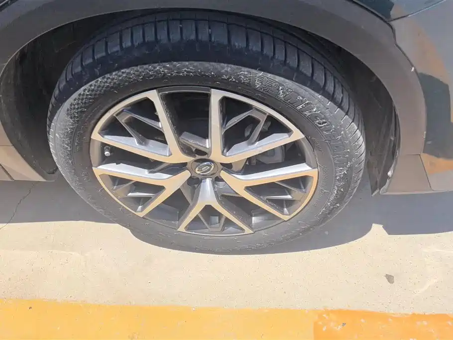 GAC Trumpchi Trumpchi GS8 2022 Pilot Series 2.0TGDI 2WD Luxury Smart Connect Edition (7-Seater) фото 6