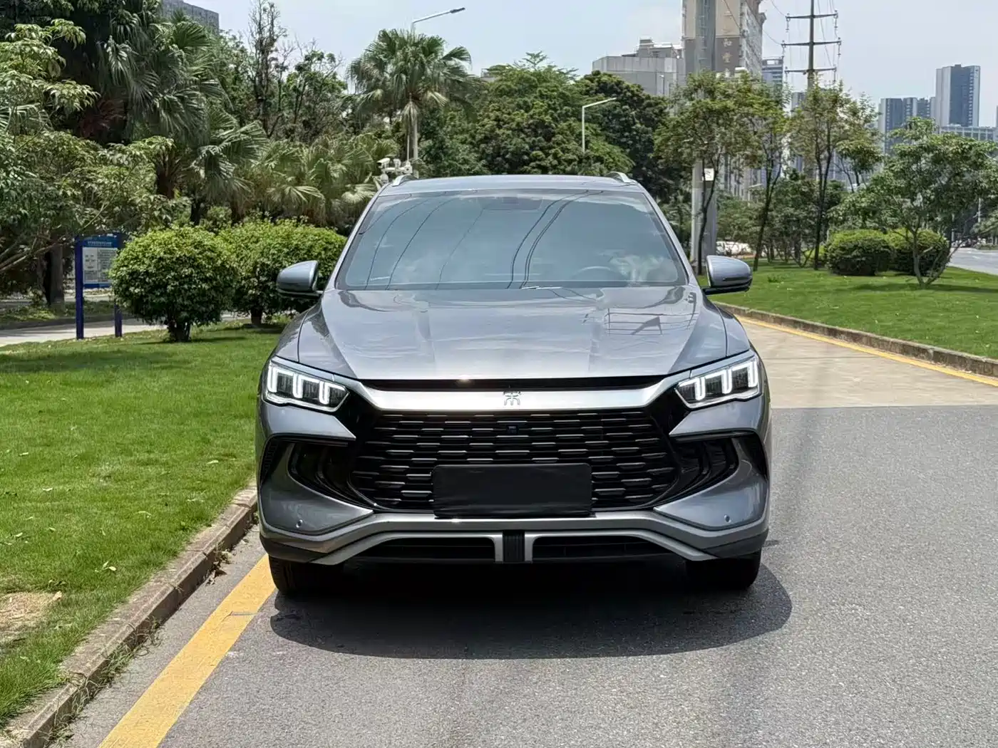 BYD Song Pro New Energy 2024 Glory Edition DM-i 71KM Pilot фото 2