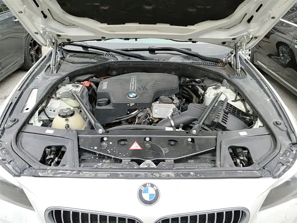 BMW 5 Series 2017 525Li Luxury Design Package фото 20