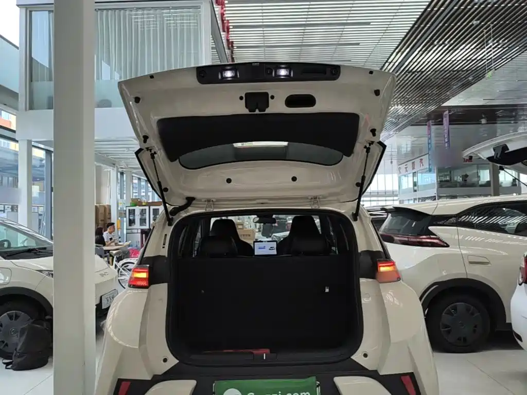 BYD Seagull 2026 2025 Smart Drive Edition 305km Vitality Version