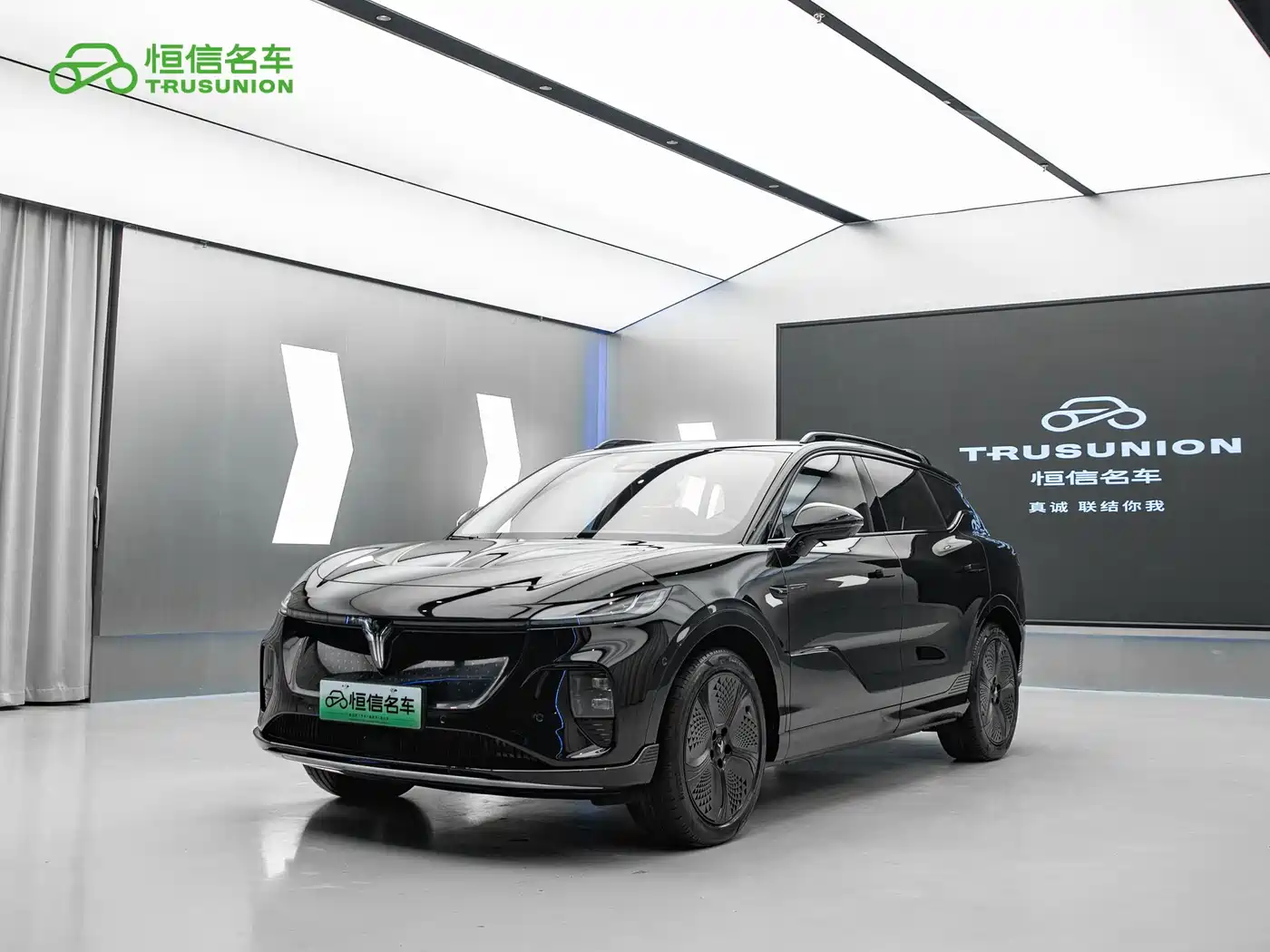 Voyah Auto Voyah Zhiyin 2024 4WD Global Edition