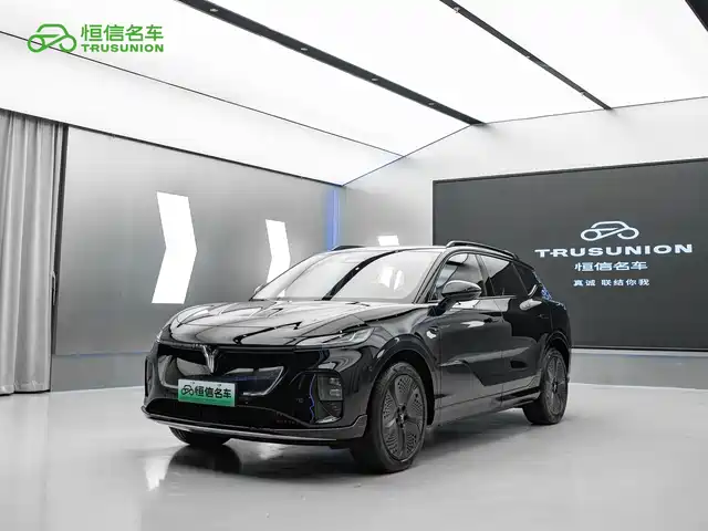 Voyah Auto Voyah Zhiyin 2024 4WD Global Edition