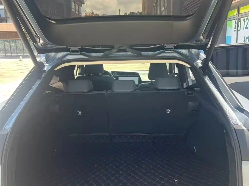 Lexus RZ 2023 450e 4WD Deluxe фото 12