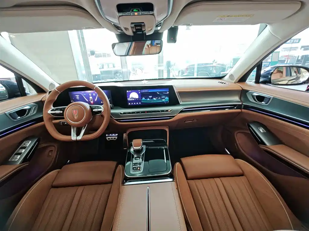 صورة 20 - Hongqi H9
