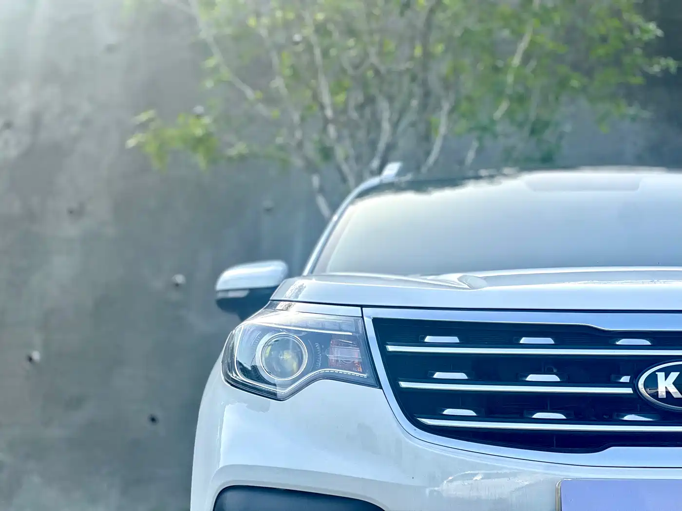 Kia Sportage 2019 2.0L Automatic Smart Luxury Edition фото 12